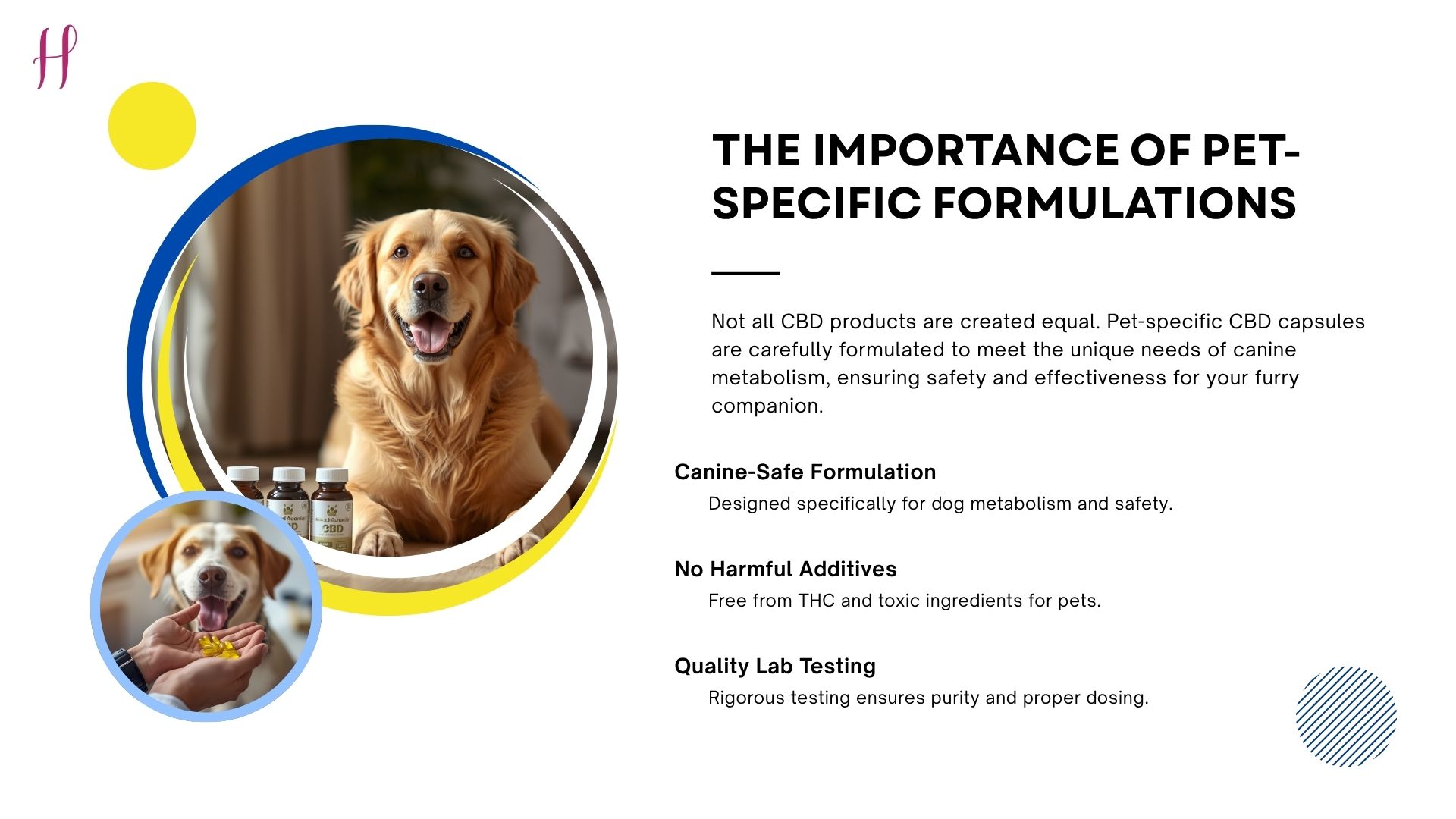 CBD for dogs infographic focusing on pet-specific formulations.